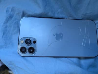 Apple iPhone XS Max pta register