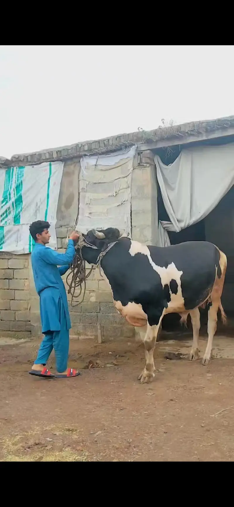 For sale contact number 03422112672 — photo 2