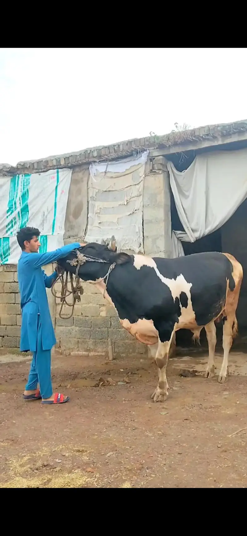 For sale contact number 03422112672 — photo 3