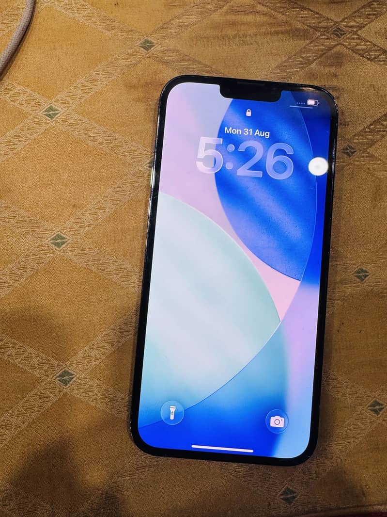 Apple iPhone 13 Pro Max 1