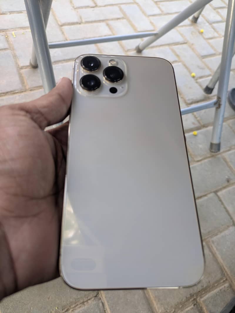Apple iPhone 13 Pro Max 1