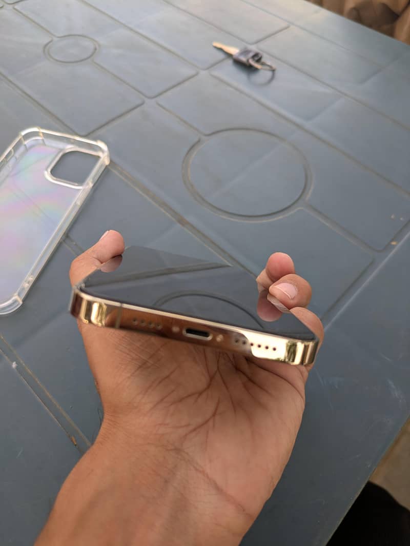 Apple iPhone 13 Pro Max 4