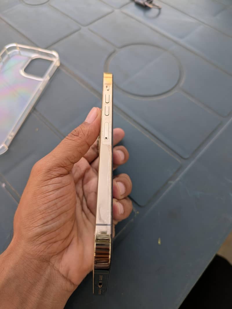 Apple iPhone 13 Pro Max 6