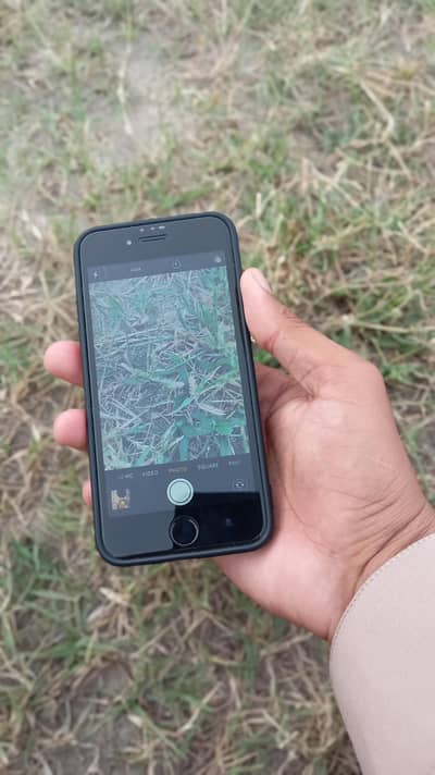 Apple iPhone 6 PTA APPROVED