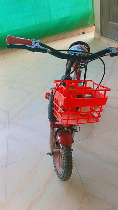 Baby Cycle