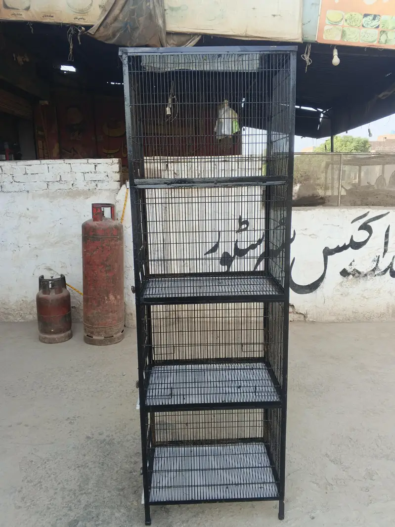 hen & peigon cage — photo 4