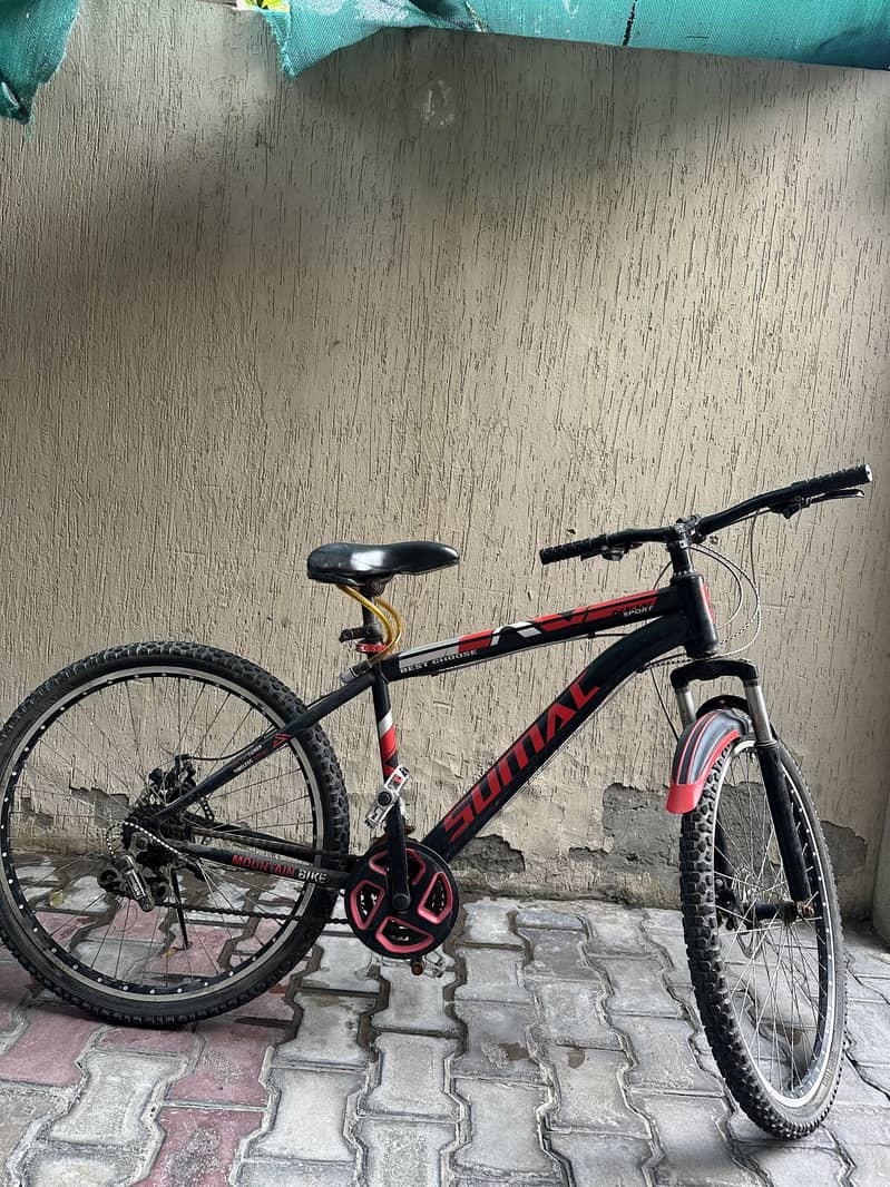 Bicycle 2