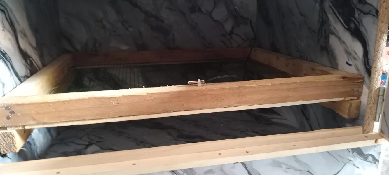 50 eggs incubator — photo 5