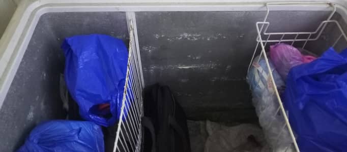 waves freezer