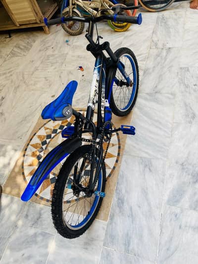important cycle for sale
