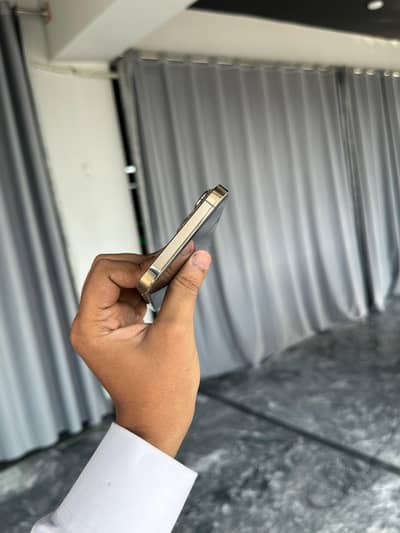 Apple iPhone 13 Pro Max mdm