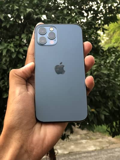 Apple iPhone 12 Pro 256 GB PTA