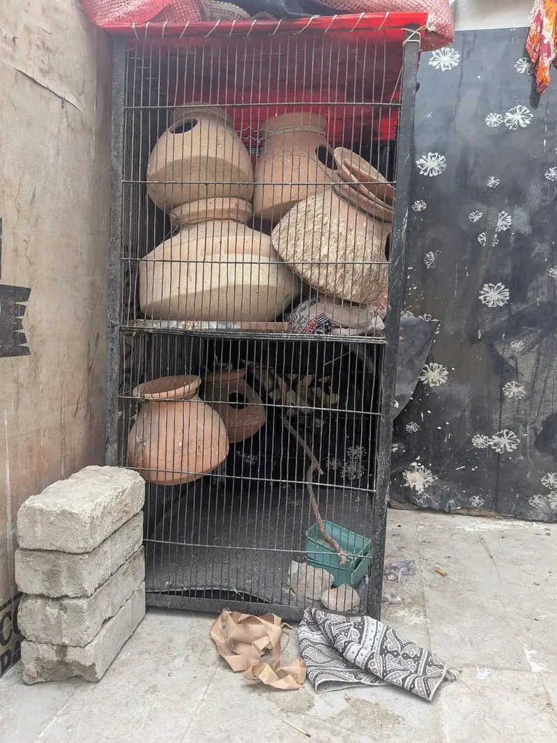 birds and hen cage — photo 2