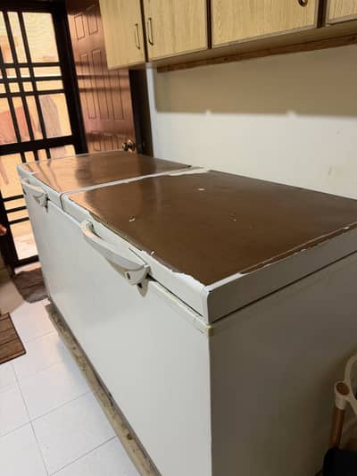 Double door waves freezer for sale