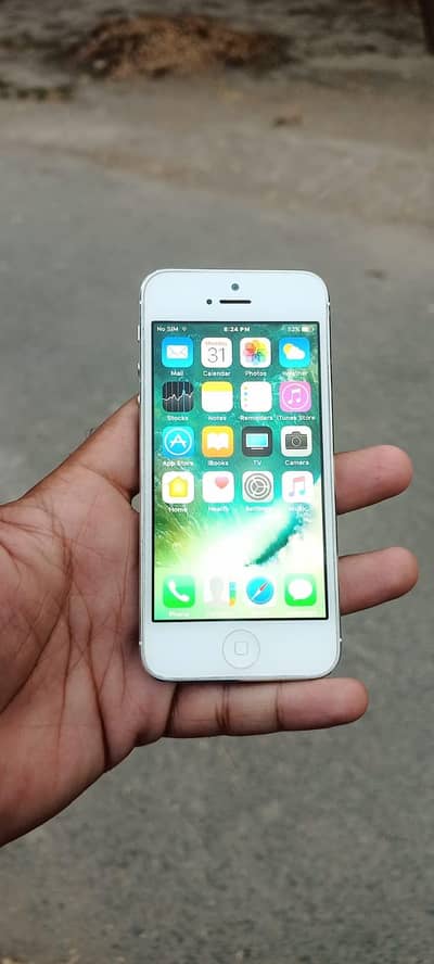 Apple iPhone 5