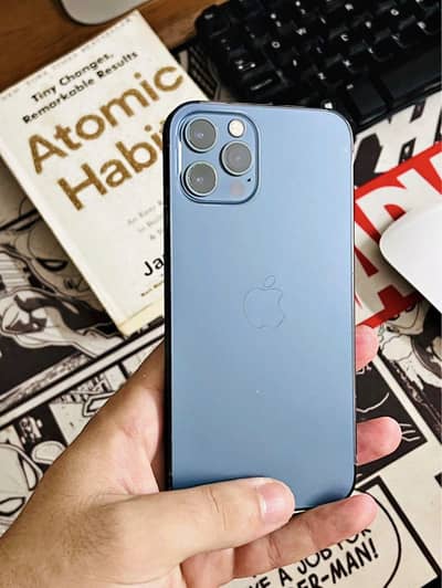 iphone 12 pro max