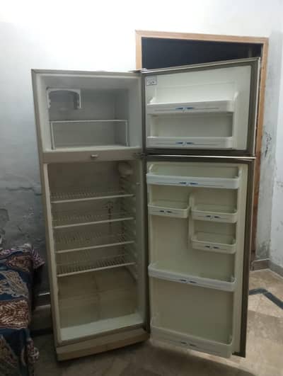 hair double dooor fridge