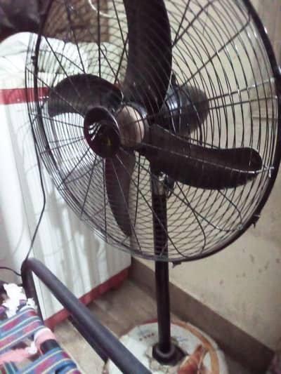 Pedistal Fan For Sale