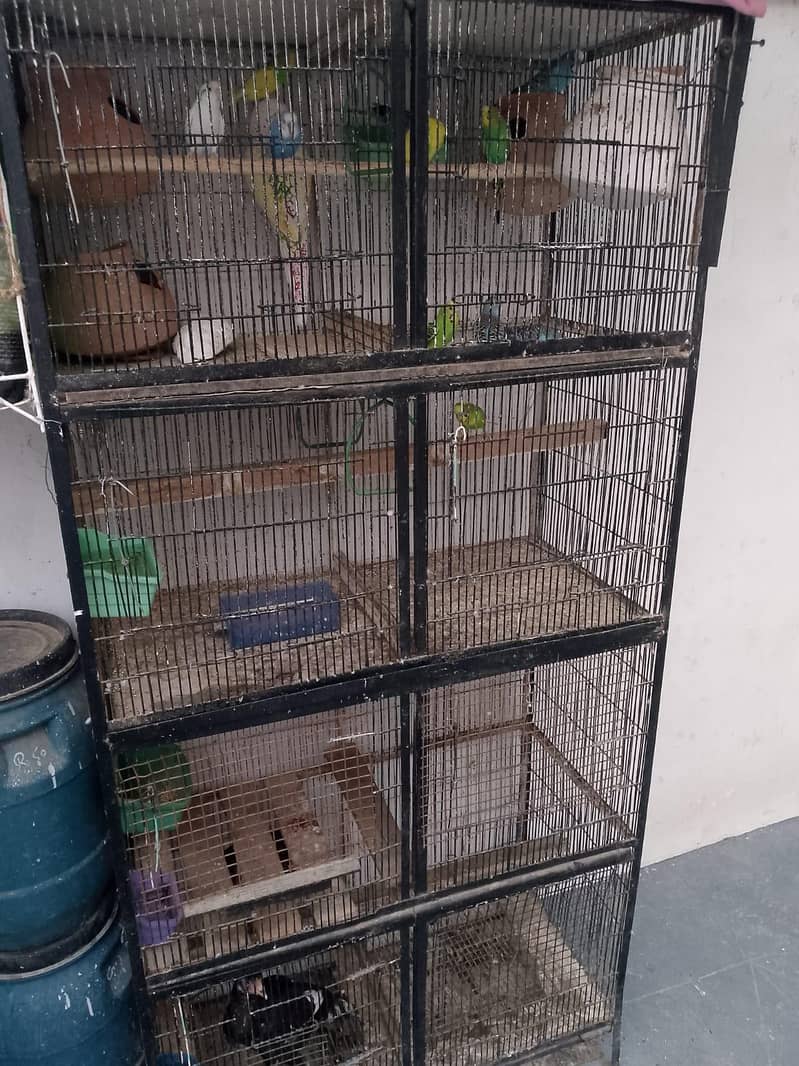 2 Portion Cage 2