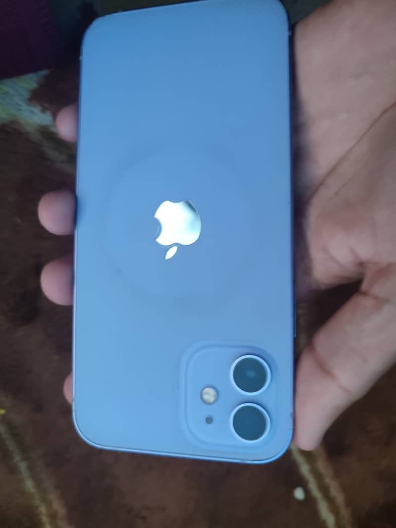 Apple iPhone 12 1
