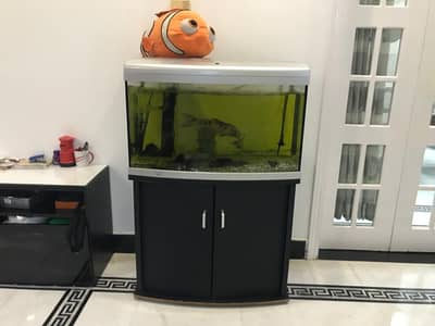 Imported Fish Aquarium Complete Setup With Table For Sale Urgent