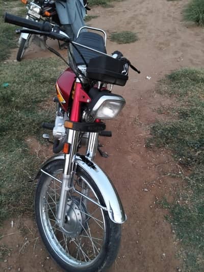 125 lush condition