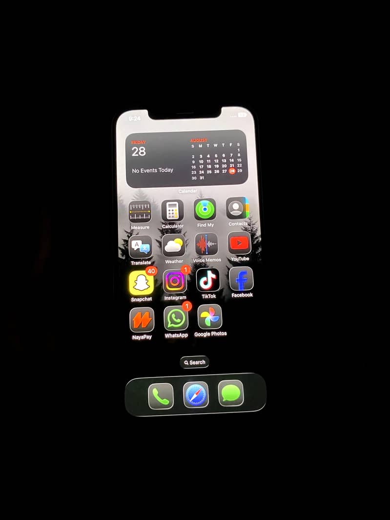 Apple iPhone 12 1