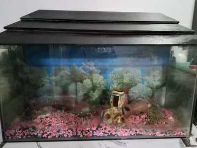 Fish aquarium 3 feet width
