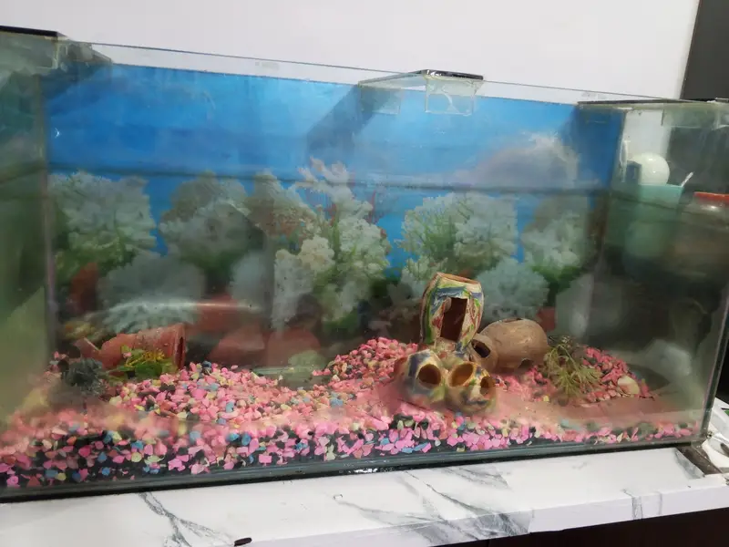 Fish aquarium 3 feet width — photo 2