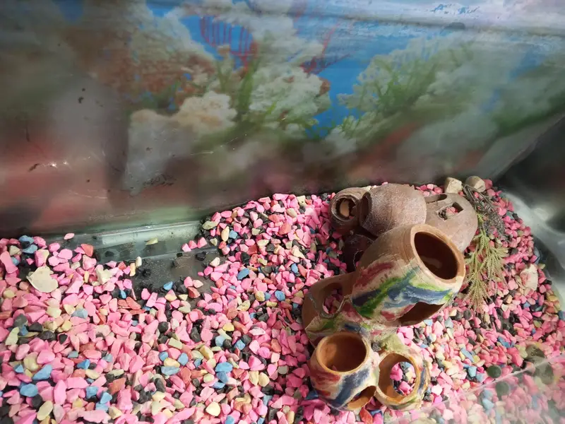 Fish aquarium 3 feet width — photo 4