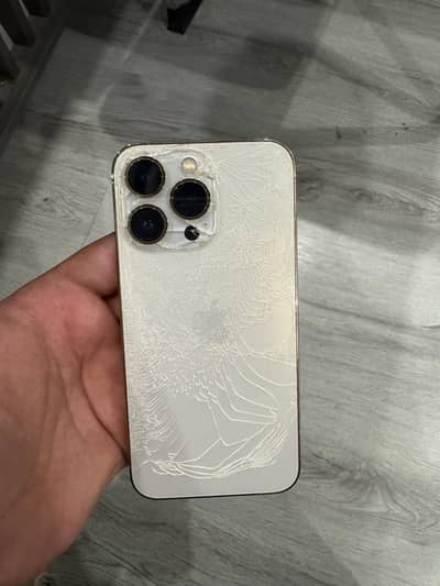 iPhone 13 Pro 1TB