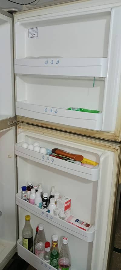 Hair Refrigerator