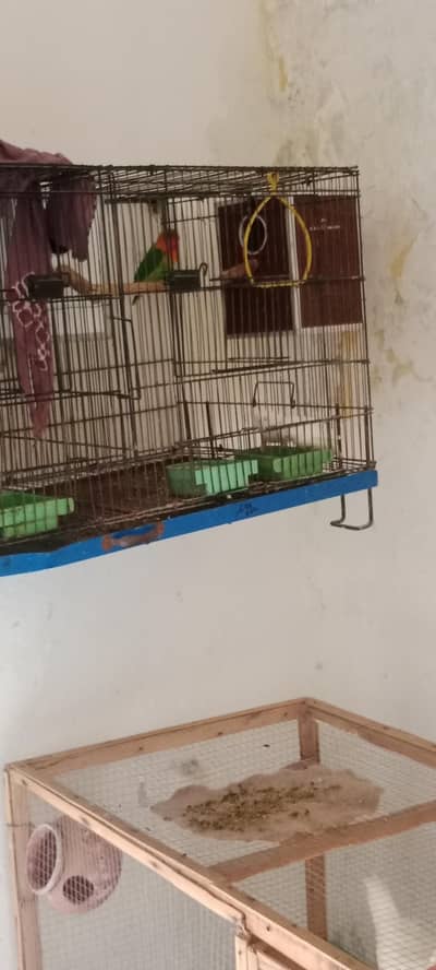 urgent sale