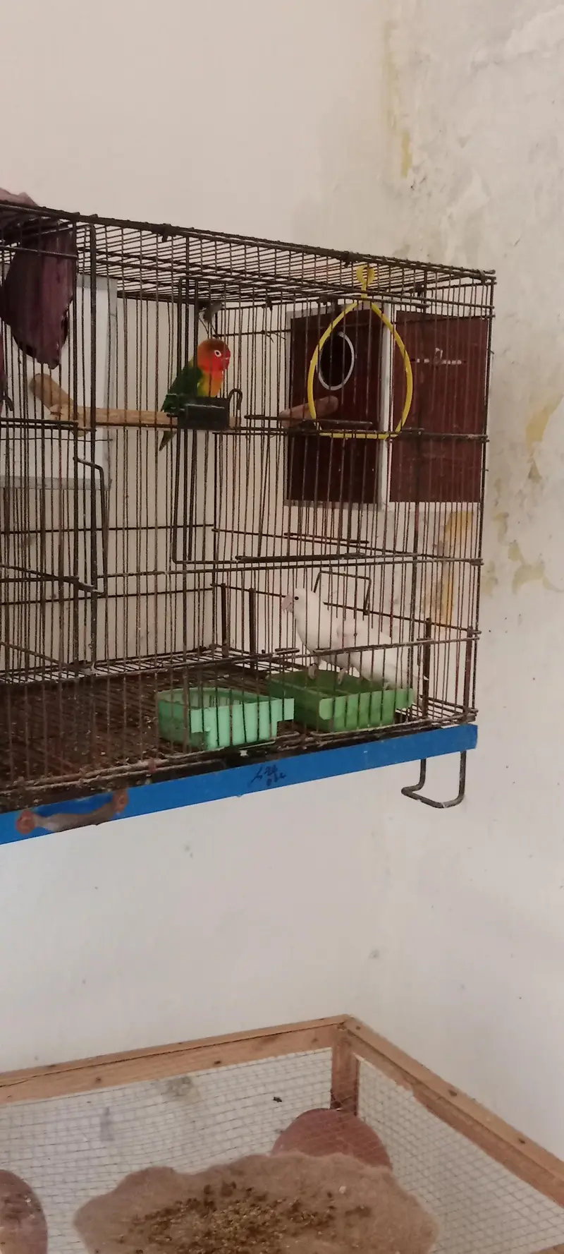 urgent sale — photo 3