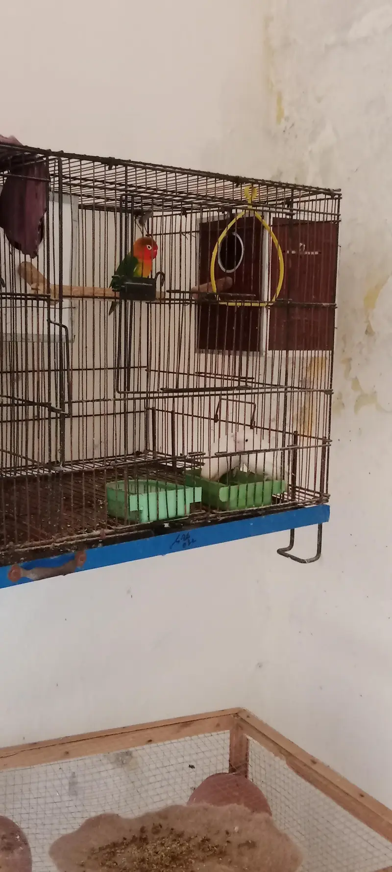 urgent sale — photo 4
