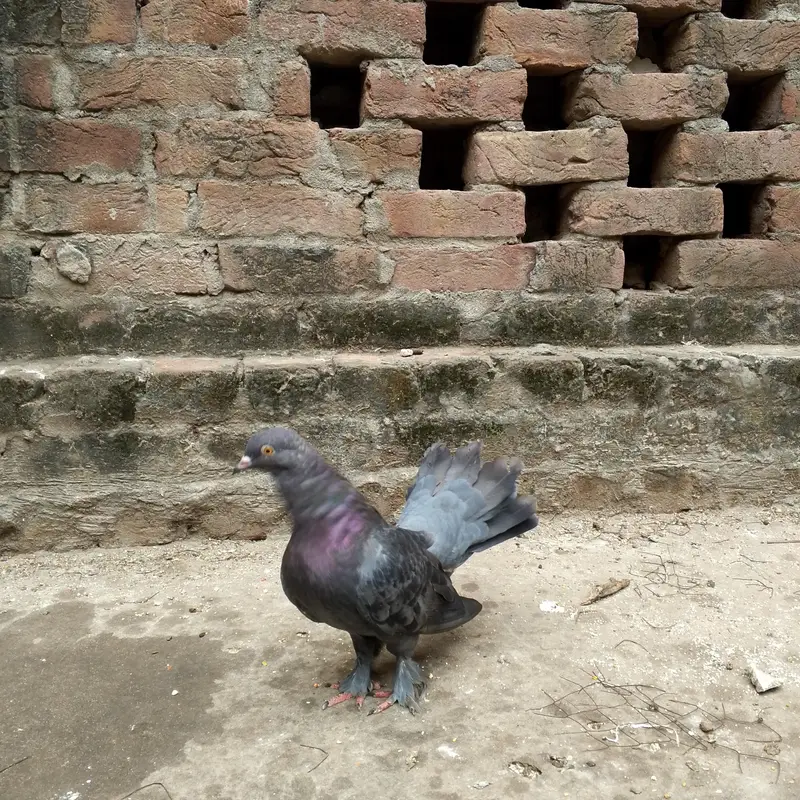 beautiful lukay pair — photo 5