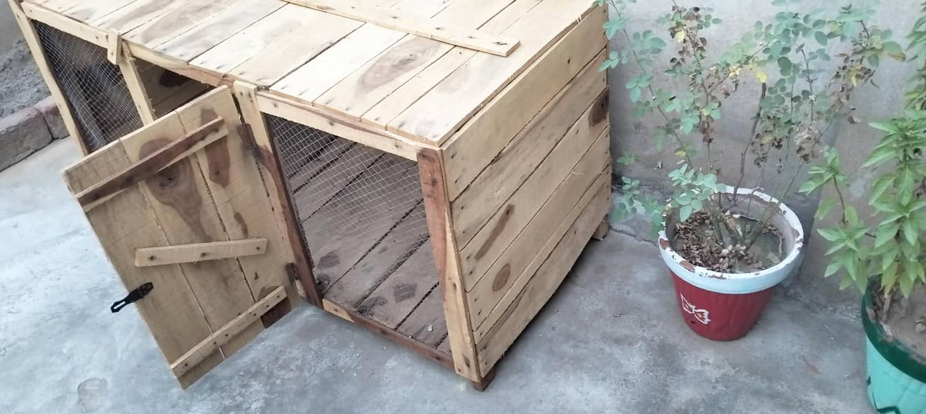 Hen cage 3