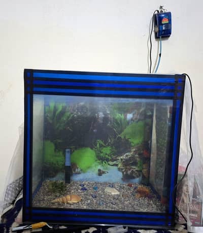 Fish Aquarium with Air pump