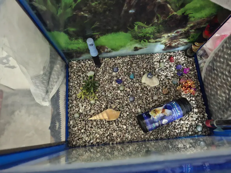 Fish Aquarium with Air pump — photo 2