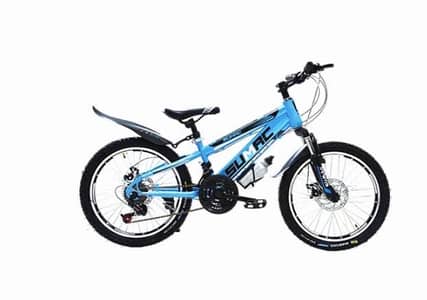 Bicycle 20/555