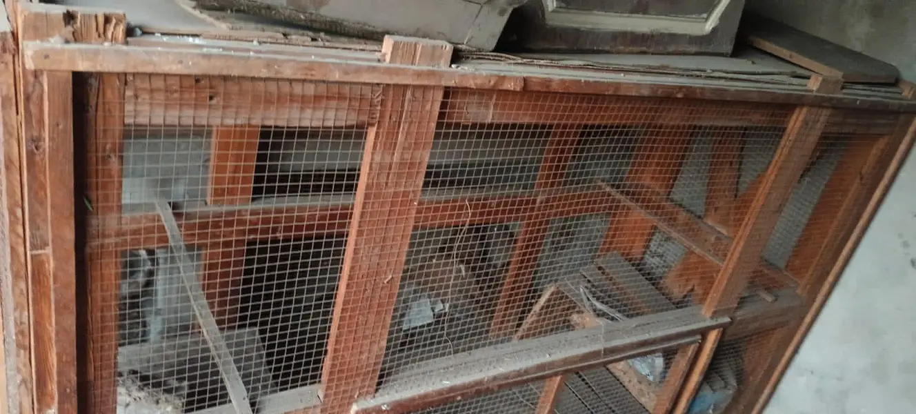 hen cages — photo 4