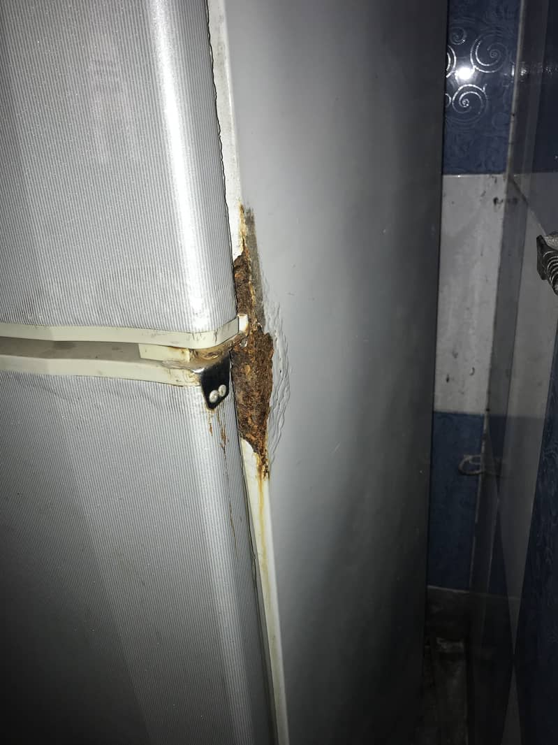 Dowlance Fridge (Working Condition) 2