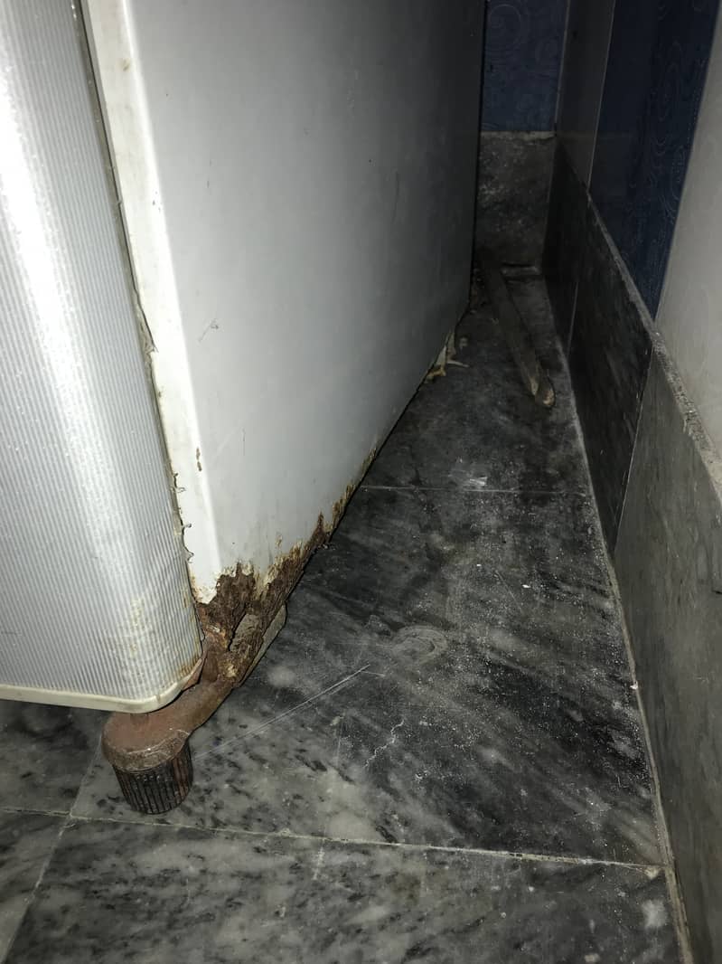 Dowlance Fridge (Working Condition) 3