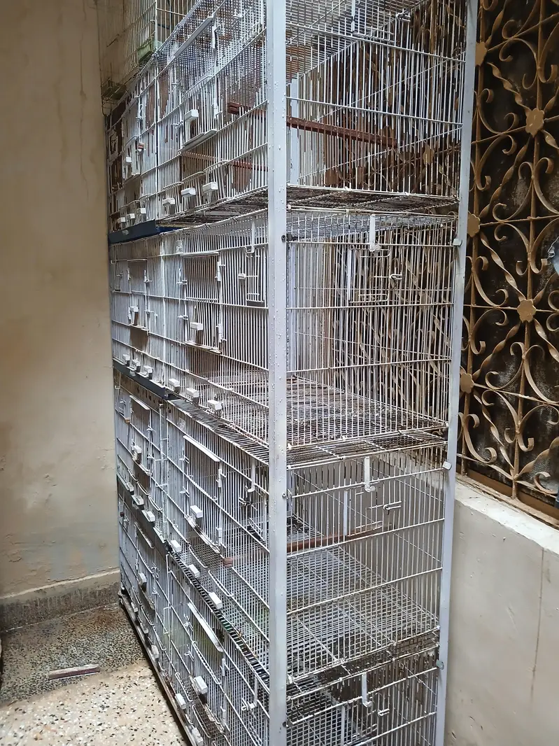  Large Multi-Compartment Bird Cage / Pinjra For Sale — photo 2