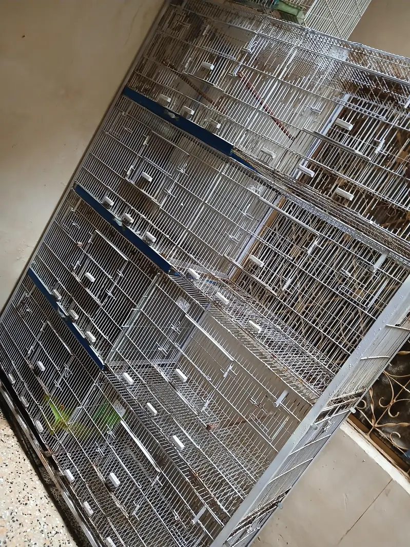  Large Multi-Compartment Bird Cage / Pinjra For Sale — photo 3