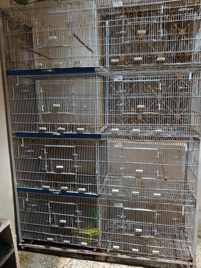  Large Multi-Compartment Bird Cage / Pinjra For Sale — photo 4