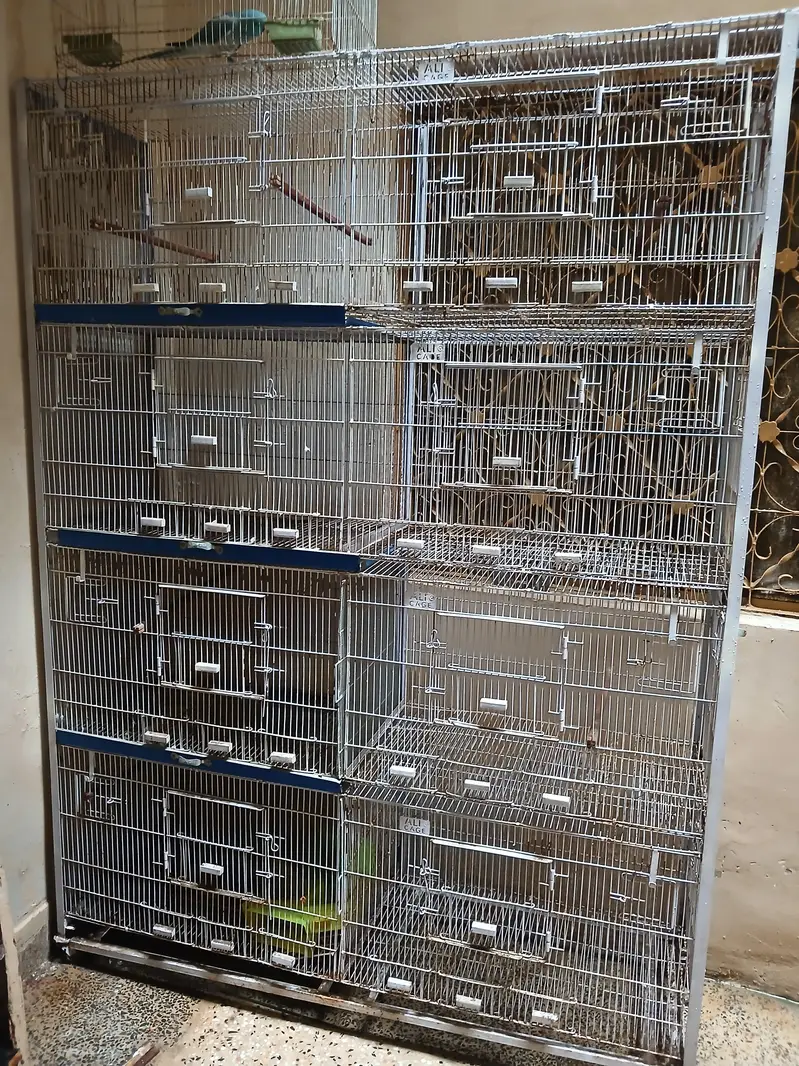  Large Multi-Compartment Bird Cage / Pinjra For Sale — photo 5