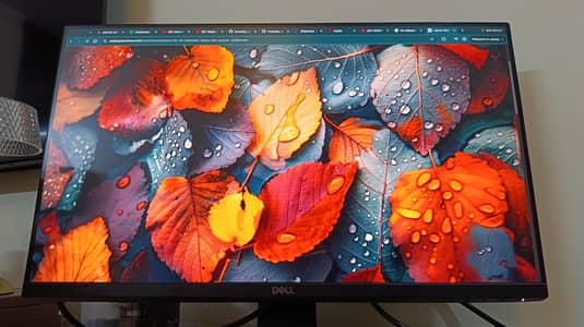 DELL 24 inches borderless LED monitor