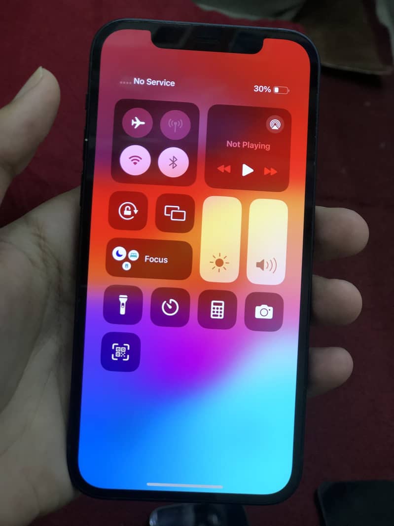 Apple iPhone 12 1