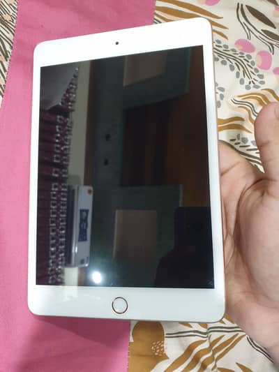 IPAD MINI 5 (256GB)